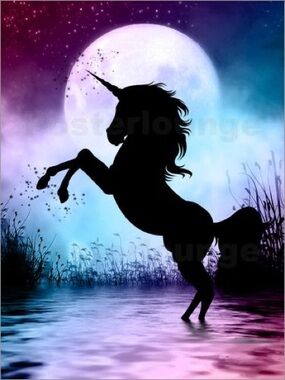 No.260 Random Auction